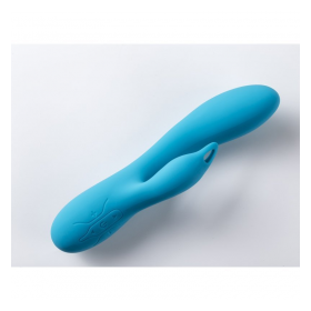 DUAL VIBRATOR V2 DE Virgite