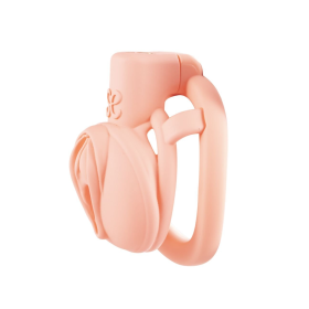 Sevanda Pink Pride Chastity Cage 